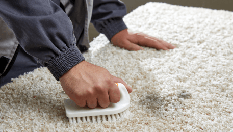 Professional Rug Cleaning Badger Creek